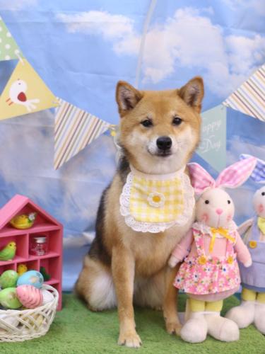 20240315リンちゃん